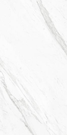 Carrara Platina 24x24 High Glossy Porcelain Tile - Image 4