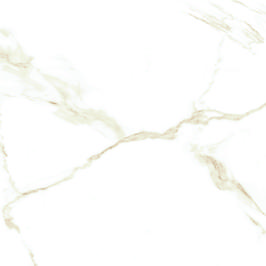 Naos Gold Mate 24x24 inch | Porcelain Tile