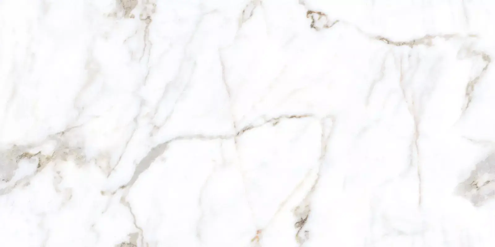Regal Modern Satuario 24x48 Marble Look Porcelain Tile at the flooring distributors, porcelain tile, concrete look porcelain tile, tile store near me, tampa tile, the flooring district, large format tile, porcelain tile grey, carving porcelain tile, tile store in tampa, floor and décor, wholesale flooring, stone look porcelain tile, modern porcelain tile, miami flooring distributor, ceramic tile, bathroom tiles, big format porcelain tiles, flooring store in tampa, flooring store in clearwater, flooring store in orlando, wall tiles, floor and walls, wall tile 3d,