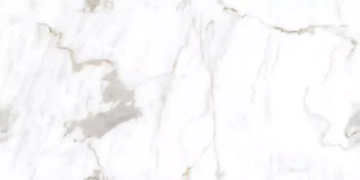 Regal Modern Satuario 24x48 Marble Look Porcelain Tile at the flooring distributors, porcelain tile, concrete look porcelain tile, tile store near me, tampa tile, the flooring district, large format tile, porcelain tile grey, carving porcelain tile, tile store in tampa, floor and décor, wholesale flooring, stone look porcelain tile, modern porcelain tile, miami flooring distributor, ceramic tile, bathroom tiles, big format porcelain tiles, flooring store in tampa, flooring store in clearwater, flooring store in orlando, wall tiles, floor and walls, wall tile 3d,