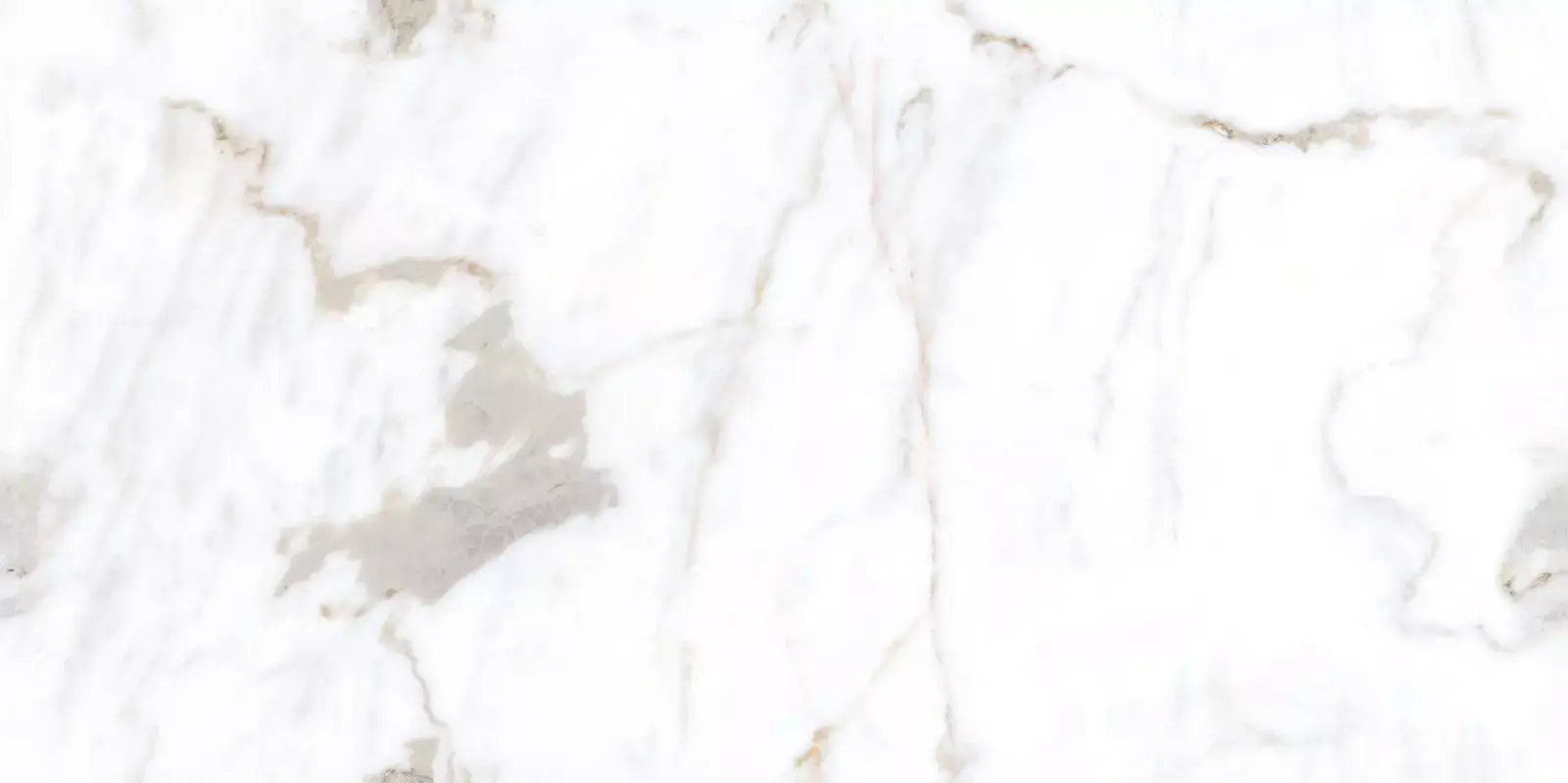Regal Modern Satuario 24x48 Marble Look Porcelain Tile at the flooring distributors, porcelain tile, concrete look porcelain tile, tile store near me, tampa tile, the flooring district, large format tile, porcelain tile grey, carving porcelain tile, tile store in tampa, floor and décor, wholesale flooring, stone look porcelain tile, modern porcelain tile, miami flooring distributor, ceramic tile, bathroom tiles, big format porcelain tiles, flooring store in tampa, flooring store in clearwater, flooring store in orlando, wall tiles, floor and walls, wall tile 3d,