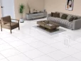 Bath porcelain tile, bathroom tiles, big format porcelain tiles, ceramic tile, floor and walls, flooring store in clearwater, flooring store in orlando, flooring store in tampa, Flooring Tile, Marmi Delicato Polished 24x24, Marmi Delicato Polished 24x24 Marble Look Porcelain Tile, miami flooring distributor, POLISHED PORCELAIN TILE, porcelain tile, wall tile 3d, wall tiles, White Porcelain Tile