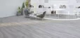 Fantasy Gray 7" x 60" Wood Vinyl Flooring, porcelain tile, concrete look porcelain tile, tile store near me, tampa tile, the flooring district, large format tile, porcelain tile grey, carving porcelain tile, tile store in tampa, floor and décor, wholesale flooring, stone look porcelain tile, modern porcelain tile. miami flooring distributor, ceramic tile, bathroom tiles, big format porcelain tiles, flooring store in tampa, flooring store in clearwater, flooring store in orlando, wall tiles, floor and walls, wall tile 3d, 7" x 60" Wood Vinyl Flooring, porcelain tile, concrete look porcelain tile, tile store near me, tampa tile, the flooring district, large format tile, porcelain tile grey, carving porcelain tile, tile store in tampa, floor and décor, wholesale flooring, stone look porcelain tile, modern porcelain tile. miami flooring distributor, ceramic tile, bathroom tiles, big format porcelain tiles, flooring store in tampa, flooring store in clearwater, flooring store in orlando, wall tiles, floor and walls, wall tile 3d,