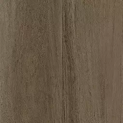 Umber Luxury Vinyl Tile, porcelain tile, concrete look porcelain tile, tile store near me, tampa tile, the flooring district, large format tile, porcelain tile grey, carving porcelain tile, tile store in tampa, floor and dΓ©cor, wholesale flooring, stone look porcelain tile, modern porcelain tile. miami flooring distributor, ceramic tile, bathroom tiles, big format porcelain tiles, flooring store in tampa, flooring store in clearwater, flooring store in orlando, wall tiles, floor and walls, wall tile 3d,
