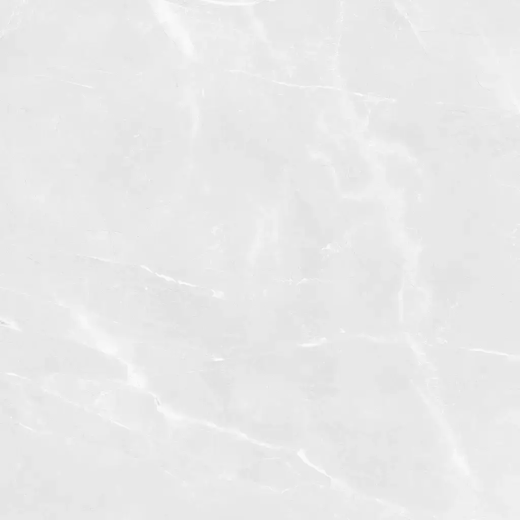 Earthstone White Polished Porcelain Tile β a luxurious marble-look porcelain in soft white tones with refined veining and a glossy polished finish. Its elegant design brings brightness and sophistication while offering the durability, water resistance, and easy maintenance of porcelain. Perfect for stylish floors and walls in kitchens, bathrooms, and living spaces.