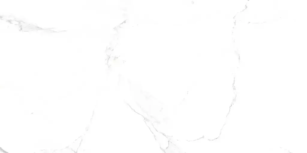 Palatina Blanco Pulido Porcelain Tile β a luxurious marble-look tile in pure white with subtle veining and a brilliant polished finish. Its glossy surface enhances brightness and elegance while offering durability, water resistance, and easy maintenance. Perfect for creating sophisticated floors and walls in kitchens, bathrooms, and contemporary living spaces.