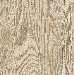 Russett, porcelain tile, concrete look porcelain tile, tile store near me, tampa tile, the flooring district, large format tile, porcelain tile grey, carving porcelain tile, tile store in tampa, floor and dΓ©cor, wholesale flooring, stone look porcelain tile, modern porcelain tile. miami flooring distributor, ceramic tile, bathroom tiles, big format porcelain tiles, flooring store in tampa, flooring store in clearwater, flooring store in orlando, wall tiles, floor and walls, wall tile 3d,