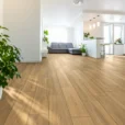 Argentario Miele 8x48 Porcelain