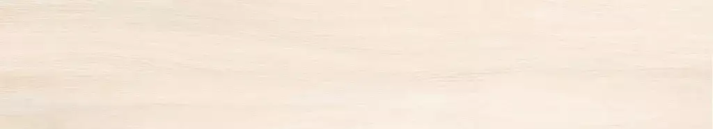 Argentario Betulla 8x48 Porcelain Tile β light birch-inspired wood-look porcelain with soft beige tones and realistic wood grain detail. The 8x48 plank format enhances the natural wood appearance while ensuring the durability, water resistance, and easy maintenance of porcelain. Perfect for floors and walls in kitchens, bathrooms, and living spaces.