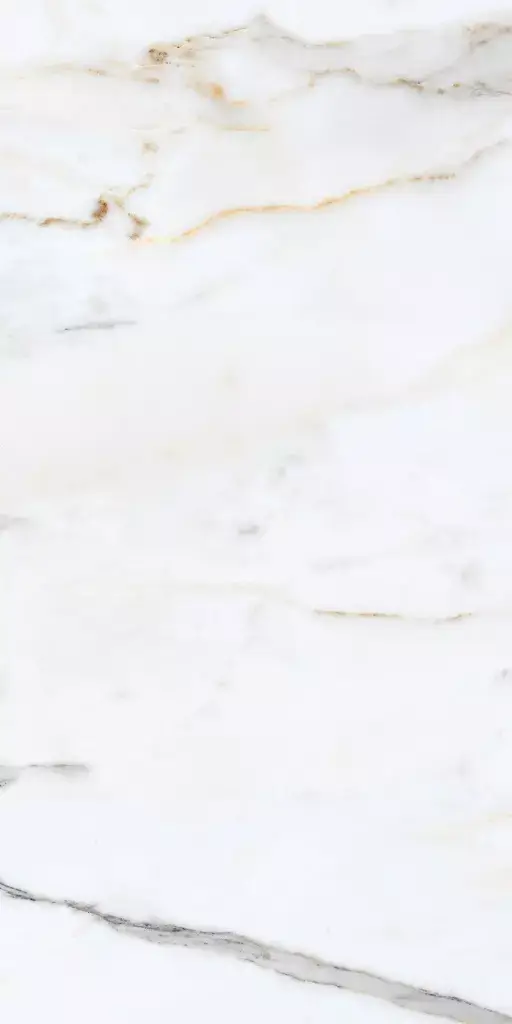 Carrara Venice Porcelain Tile β a timeless marble-look porcelain inspired by the elegance of Carrara stone, featuring delicate grey veining on a refined white background. Its luxurious finish enhances any space while maintaining the durability, water resistance, and low maintenance of porcelain. Perfect for sophisticated floors and walls in kitchens, bathrooms, and living areas.