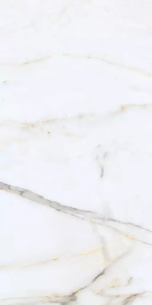 Carrara Venice Porcelain Tile β a timeless marble-look porcelain inspired by the elegance of Carrara stone, featuring delicate grey veining on a refined white background. Its luxurious finish enhances any space while maintaining the durability, water resistance, and low maintenance of porcelain. Perfect for sophisticated floors and walls in kitchens, bathrooms, and living areas.
