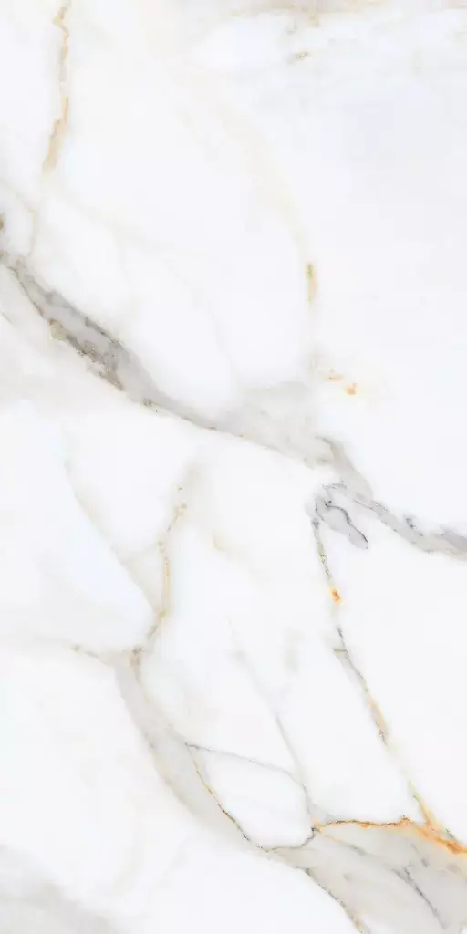 Carrara Venice Porcelain Tile β a timeless marble-look porcelain inspired by the elegance of Carrara stone, featuring delicate grey veining on a refined white background. Its luxurious finish enhances any space while maintaining the durability, water resistance, and low maintenance of porcelain. Perfect for sophisticated floors and walls in kitchens, bathrooms, and living areas.