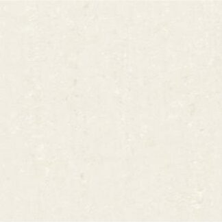 Avanti Snow 24x24 inch | Porcelain Tile